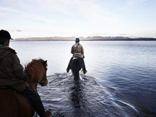 Iceland-Iceland Shorts-Horse Round Up in Iceland